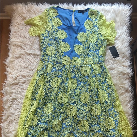 Eloquii Dresses & Skirts - Eloquii NWT bright/blue yellow lace dress